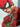 Nashid Chroma Art 17×22" (43×55 cm) / Unframed FLWRS FOR MAY - Collector's Edition