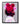 Nashid Chroma Art 8×10" (20×25 cm) / Framed (Black) HOV