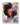 Nashid Chroma Art 8×10" (20×25 cm) / Framed (White) RAINBOW & EBONY