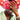 Nashid Chroma Art and Apparel Art CXCTUS JXCK