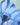 Nashid Chroma Art BLU3 P0PPY
