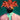 Nashid Chroma Art CRTFD LVR BXY
