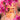 Nashid Chroma Art ETERNXL SVNSHXNE