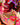 Nashid Chroma Art GXLDIE