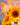 Nashid Chroma Art MXRXDONA