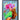 Nashid Chroma Art PXSITIONS