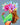 Nashid Chroma Art PXSITIONS