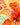 Nashid Chroma Art TXGER LXLIES
