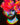 Nashid Chroma Art ZXDS DEAD
