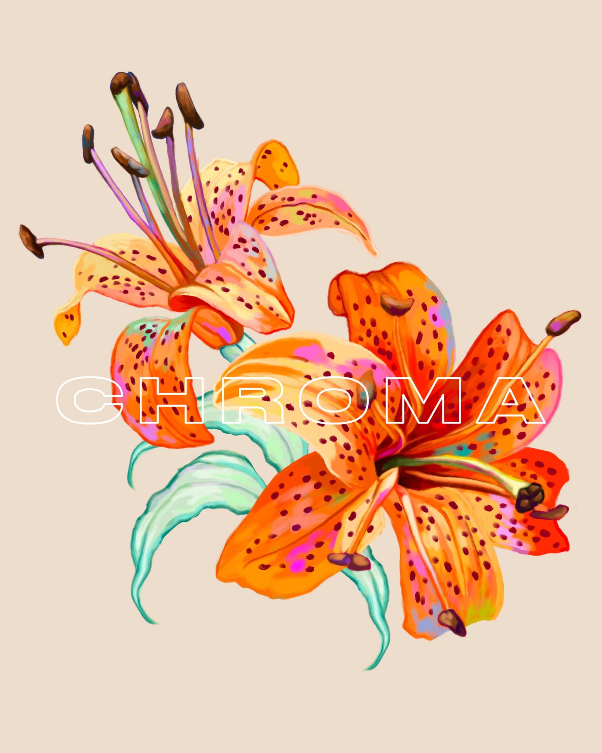 Nashid Chroma Hoodies TIGER LILLIES Drop Shoulder Hoodie