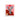 Nashid Chroma Micro Print 8x10in / Unframed HXLL BXY- Micro Print