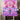Nashid Chroma peace collective Canvas HOME IS TORONTO - Collector's Canvas